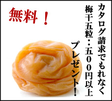 南高梅干し専門店　深見梅店のカタログ請求